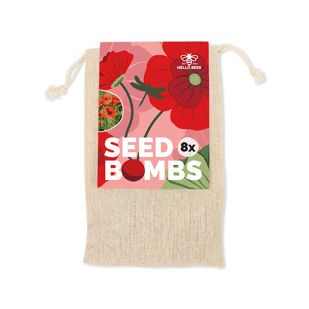 Cotton Bag with 8 Seed Bombs - Wild Flowers