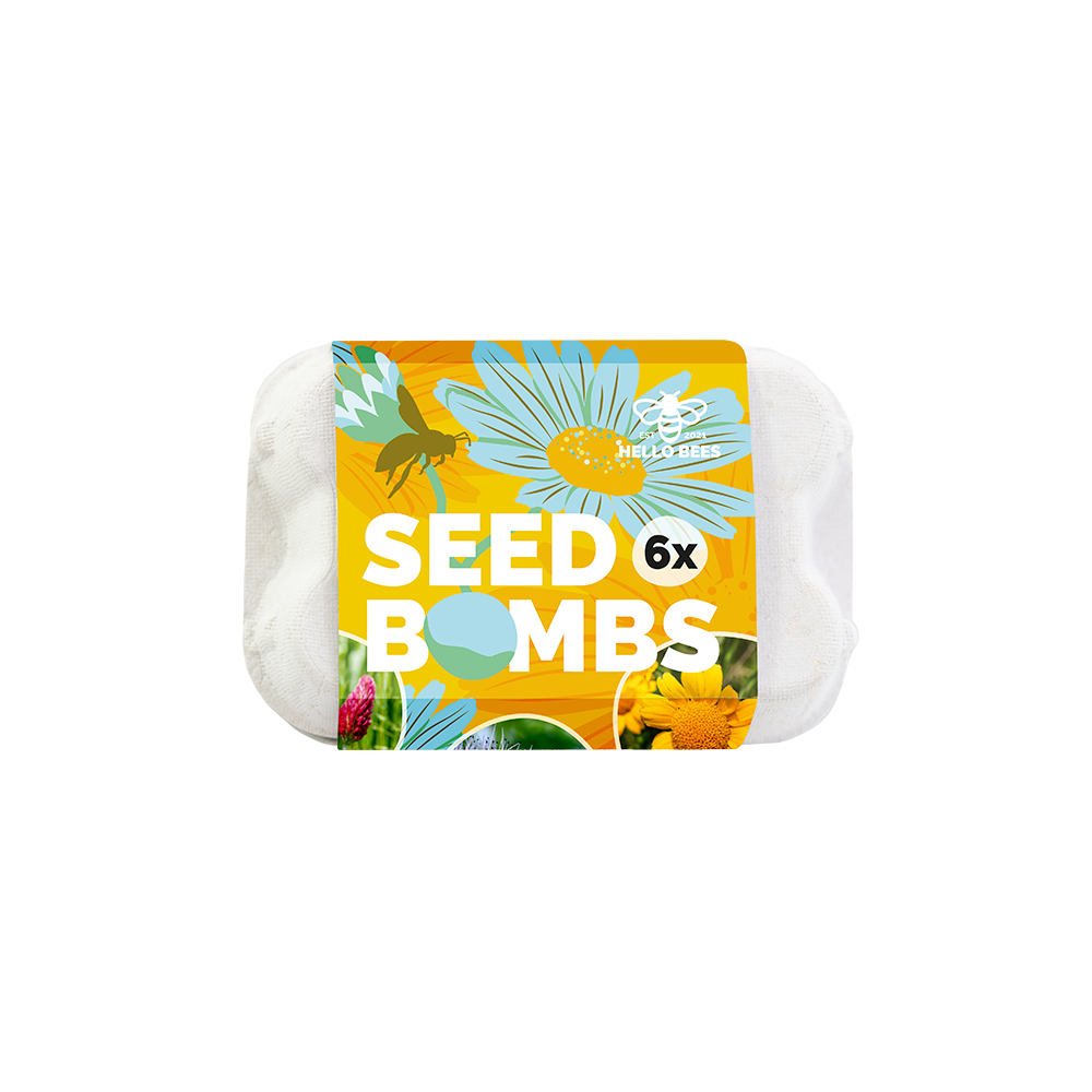 Egg Box with 6 Seed Bombs - Bee Buffet