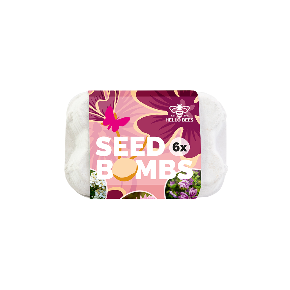 Egg Box with 6 Seed Bombs - Butterfly Paradise