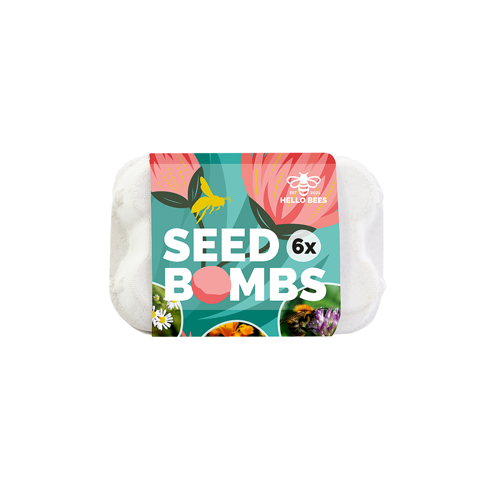 Egg Box with 6 Seed Bombs - Low Bloomers