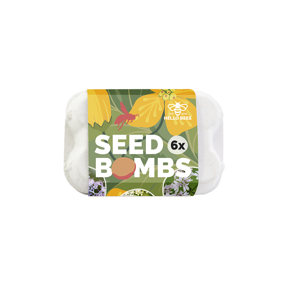 Egg Box with 6 Seed Bombs - Wild Herbs
