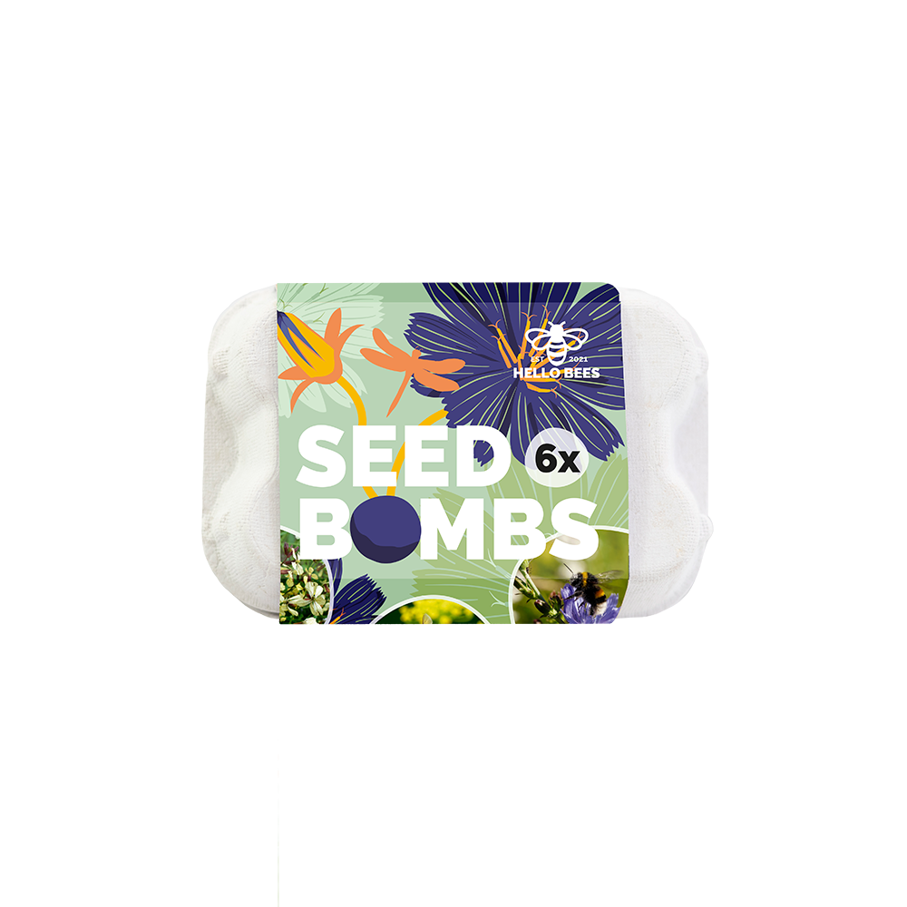 Egg Box with 6 Seed Bombs - Wild Vegetables