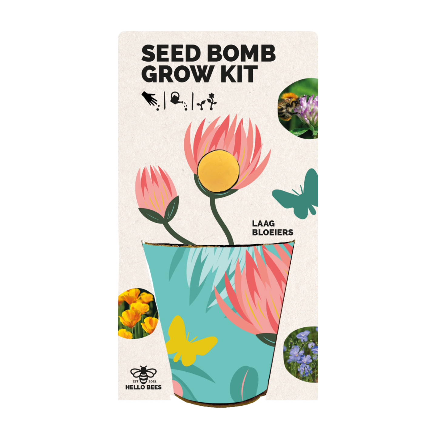 Seed Bomb Grow Kit - Low Bloomers