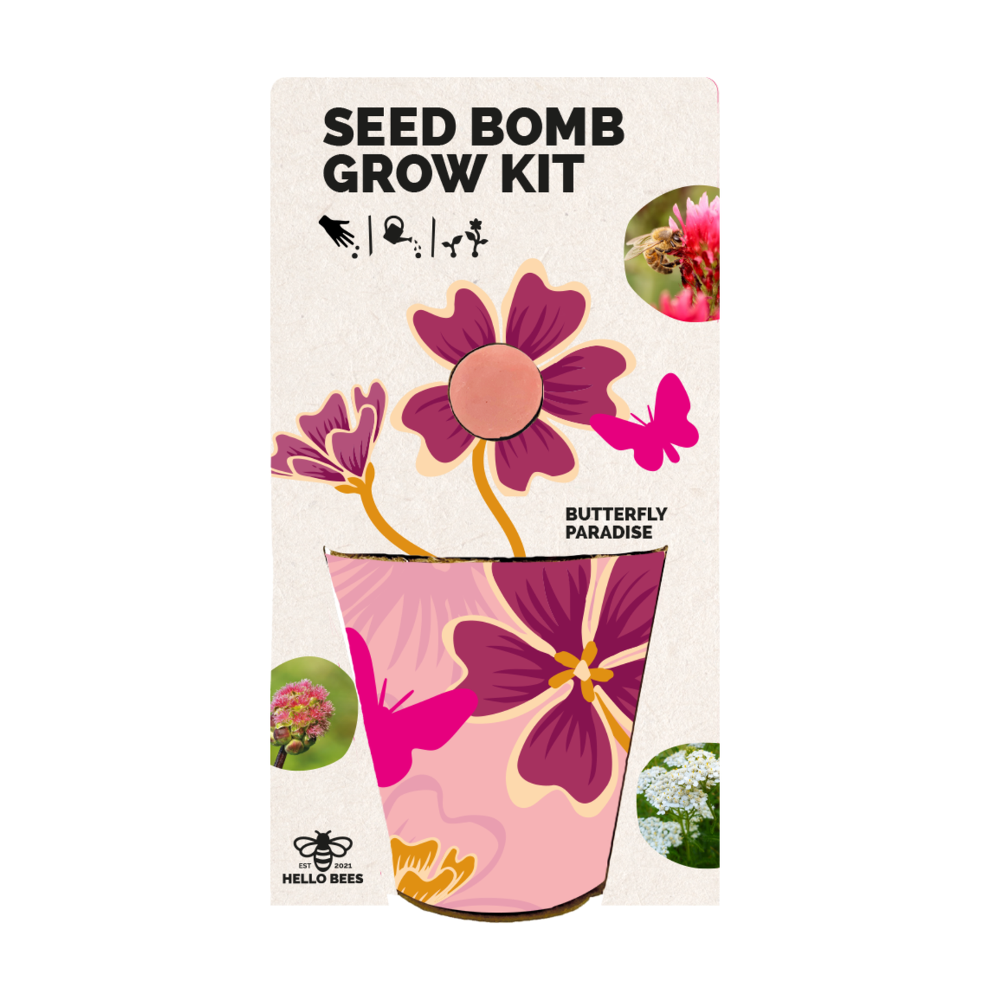 Seed Bomb Grow Kit - Wild Flowers