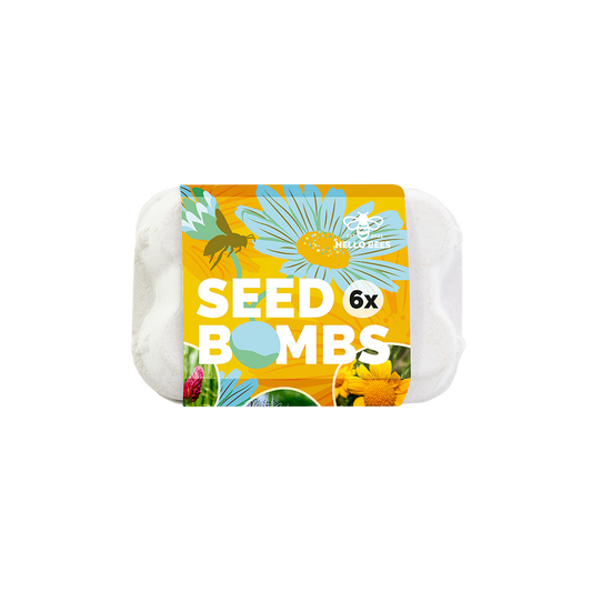 Egg Box with 6 Seed Bombs - Bee Buffet
