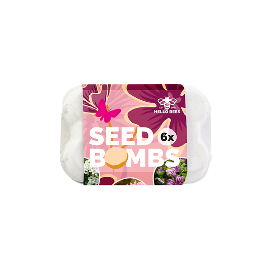 Egg Box with 6 Seed Bombs - Butterfly Paradise