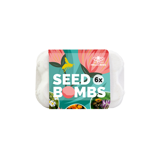 Egg Box with 6 Seed Bombs - Low Bloomers