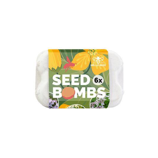 Egg Box with 6 Seed Bombs - Wild Herbs