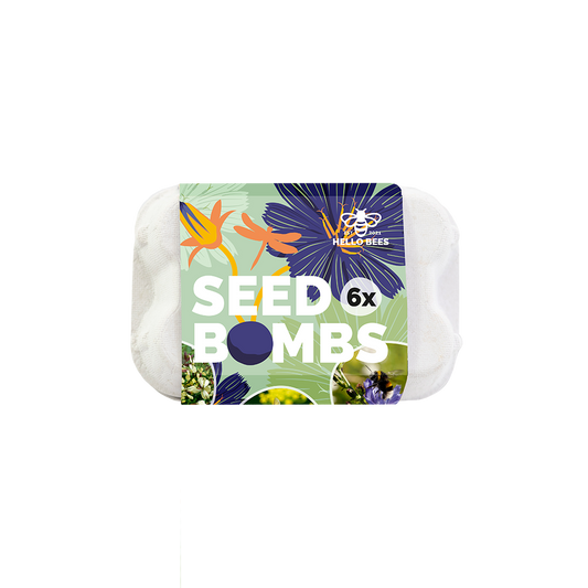 Egg Box with 6 Seed Bombs - Wild Vegetables