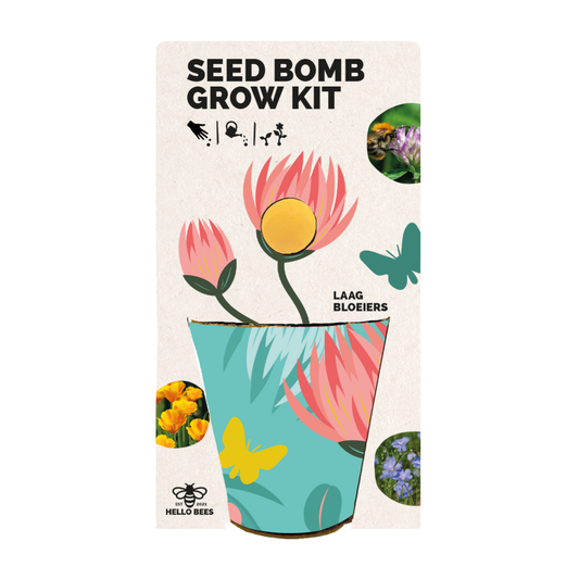 Seed Bomb Grow Kit - Low Bloomers